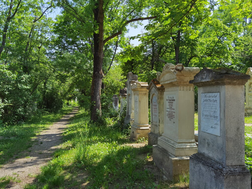 Wilder Friedhof St. Marx - nicht umsonst einer der Wien Geheimtipps